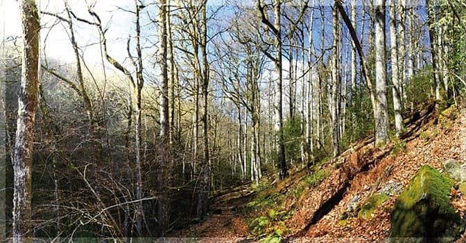 Entorno natural cerca de Ruta del Agua